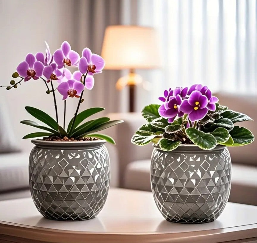 Self Watering Pair