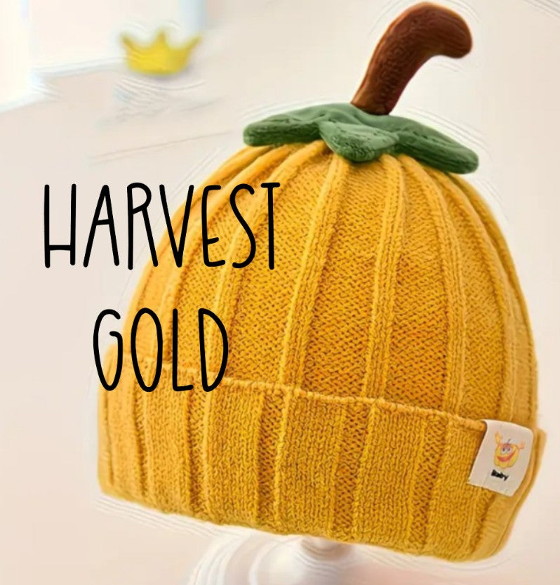 Little Pumpkin Patch Beanies